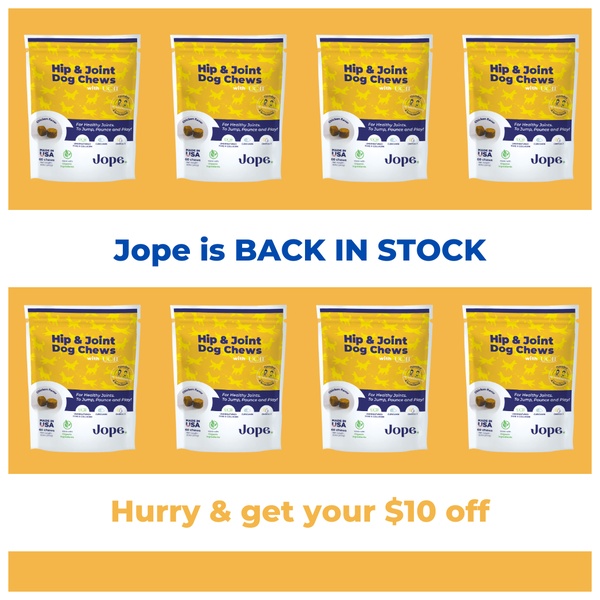 A high-contrast, symmetrical grid layout showing multiple packages of dog chews with a clear text-based restock notification and discount offer.